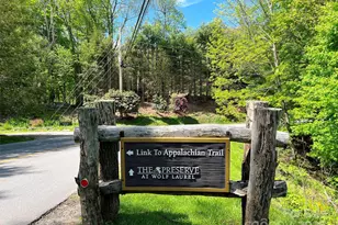 Tbd Goldenleaf Rd, Mars Hill, NC 28754 - Photo 6