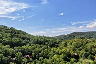 Tbd Goldenleaf Rd, Mars Hill, NC 28754 - Photo 12