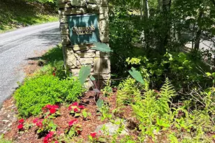 Tbd Goldenleaf Rd, Mars Hill, NC 28754 - Photo 4