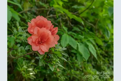 0000 Israel Road, Brevard, NC 28712 - Photo 16