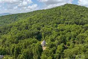 345 Bob Barnwell Rd, Fletcher, NC 28732 - Photo 28