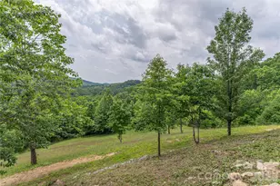 930 Big Raven Ln, Saluda, NC 28773 - Photo 30