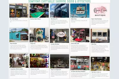 514 N Mulberry Street, Cherryville, NC 28021 - Photo 42