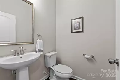 9620 Ainslie Downs Street, Charlotte, NC 28273 - Photo 12