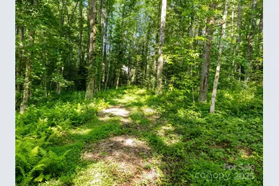 000 Old Town Way, Hendersonville, NC 28739 - Photo 4