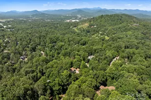 303 S Braeside Ct, Asheville, NC 28803 - Photo 46