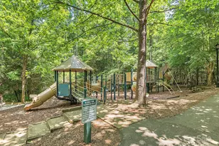 303 S Braeside Ct, Asheville, NC 28803 - Photo 48