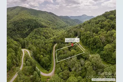 000 Puncheon Lane #174, Mars Hill, NC 28754 - Photo 2
