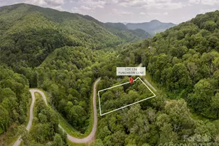 000 Puncheon Ln, Mars Hill, NC 28754 - Photo 2