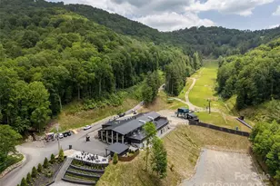 000 Puncheon Ln, Mars Hill, NC 28754 - Photo 26