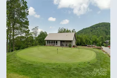 000 Puncheon Lane #174, Mars Hill, NC 28754 - Photo 12