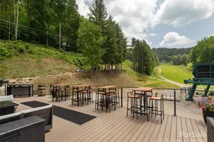 000 Tearshirt Ln, Mars Hill, NC 28754 - Photo 28