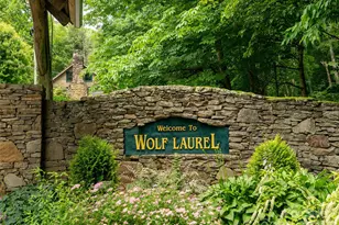 000 Tearshirt Ln, Mars Hill, NC 28754 - Photo 14