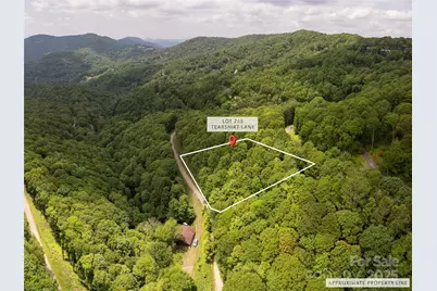 000 Tearshirt Lane #268, Mars Hill, NC 28754 - Photo 1