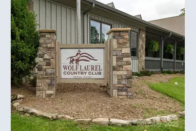 000 Tearshirt Lane #268, Mars Hill, NC 28754 - Photo 4