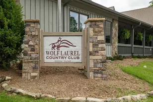 000 Tearshirt Ln, Mars Hill, NC 28754 - Photo 4