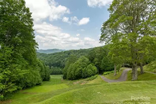 000 Tearshirt Ln, Mars Hill, NC 28754 - Photo 12