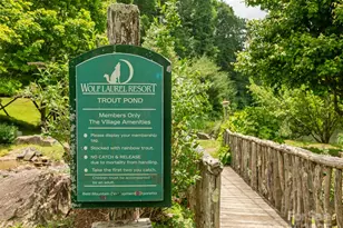 000 Tearshirt Ln, Mars Hill, NC 28754 - Photo 22