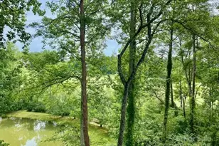 186 Stonecrest Ct, Lake Lure, NC 28746 - Photo 10