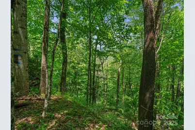 #1 Tbd Lotties Creek Road, Burnsville, NC 28714 - Photo 10