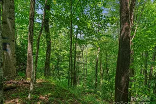 #1 Tbd Lotties Creek Rd, Burnsville, NC 28714 - Photo 10