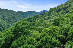 #1 Tbd Lotties Creek Rd, Burnsville, NC 28714 - Photo 12