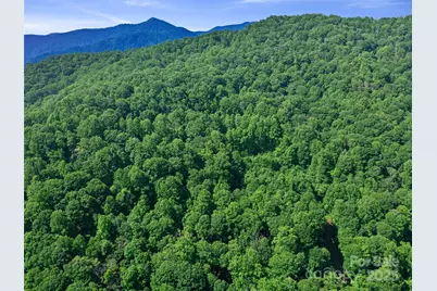 #1 Tbd Lotties Creek Road, Burnsville, NC 28714 - Photo 16