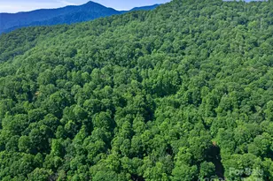 #1 Tbd Lotties Creek Rd, Burnsville, NC 28714 - Photo 16