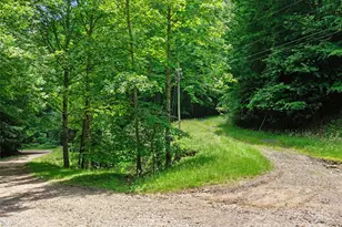 #1 Tbd Lotties Creek Rd, Burnsville, NC 28714 - Photo 4