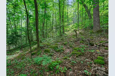 #1 Tbd Lotties Creek Road, Burnsville, NC 28714 - Photo 8