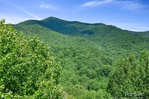 #1 Tbd Lotties Creek Rd, Burnsville, NC 28714 - Photo 2