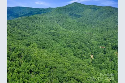 #1 Tbd Lotties Creek Road, Burnsville, NC 28714 - Photo 14