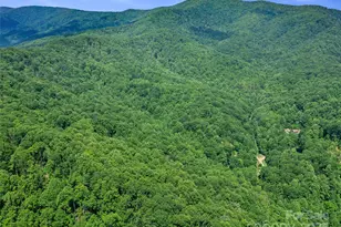 #1 Tbd Lotties Creek Rd, Burnsville, NC 28714 - Photo 14