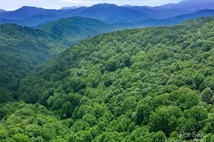 #1 Tbd Lotties Creek Rd, Burnsville, NC 28714 - Photo 18