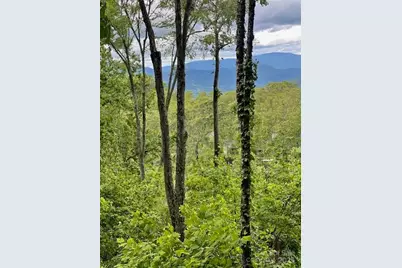 Lot 81 Ball Camp Road #81/1, Burnsville, NC 28714 - Photo 2