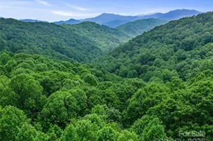 #2 Tbd Lotties Creek Rd, Burnsville, NC 28714 - Photo 8