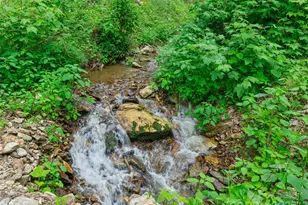 #2 Tbd Lotties Creek Rd, Burnsville, NC 28714 - Photo 10