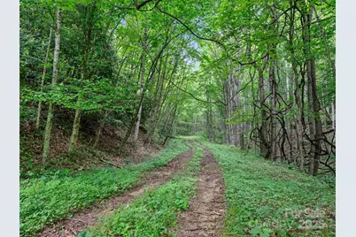 #2 Tbd Lotties Creek Road, Burnsville, NC 28714 - Photo 6