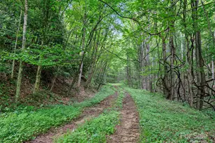 #2 Tbd Lotties Creek Rd, Burnsville, NC 28714 - Photo 6