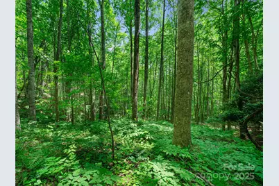 #2 Tbd Lotties Creek Road, Burnsville, NC 28714 - Photo 4