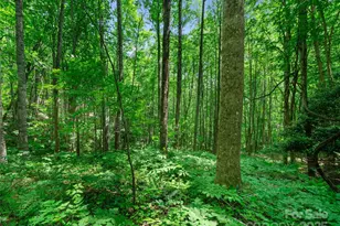 #2 Tbd Lotties Creek Rd, Burnsville, NC 28714 - Photo 4