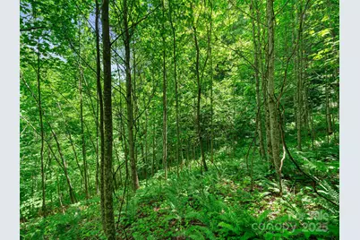 #3 Tbd Lotties Creek Road, Burnsville, NC 28714 - Photo 12