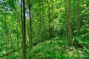 #3 Tbd Lotties Creek Rd, Burnsville, NC 28714 - Photo 12