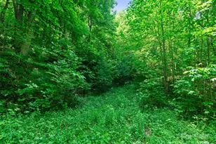 #3 Tbd Lotties Creek Rd, Burnsville, NC 28714 - Photo 10