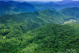 #3 Tbd Lotties Creek Rd, Burnsville, NC 28714 - Photo 20