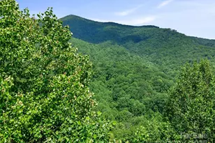 #3 Tbd Lotties Creek Rd, Burnsville, NC 28714 - Photo 14