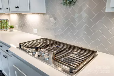 3041 Winged Teal Court, Belmont, NC 28012 - Photo 16