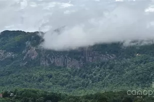 221 Flt Br Trl, Mill Spring, NC 28756 - Photo 32