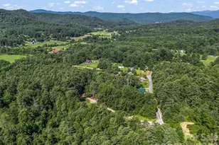 62 Kinard Ln, Penrose, NC 28766 - Photo 26