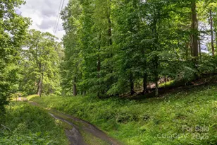 Tbd Carolina Keep Rd, Burnsville, NC 28714 - Photo 4